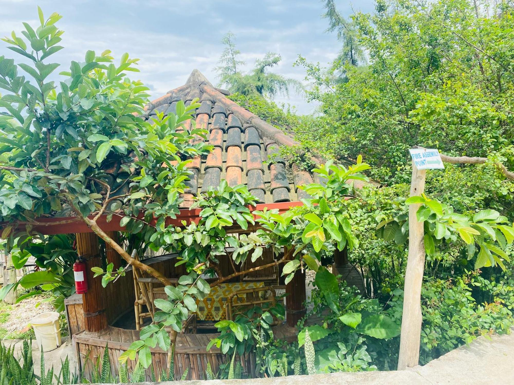 Kivu Macheo Eco-Lodge Kibuye Dış mekan fotoğraf